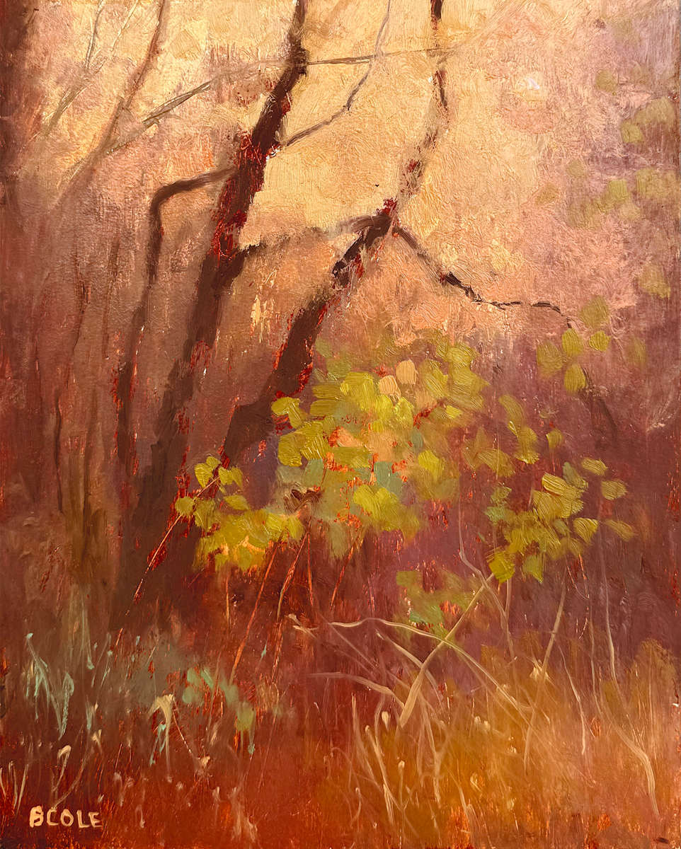 Signs Of Life by Beth Cole 