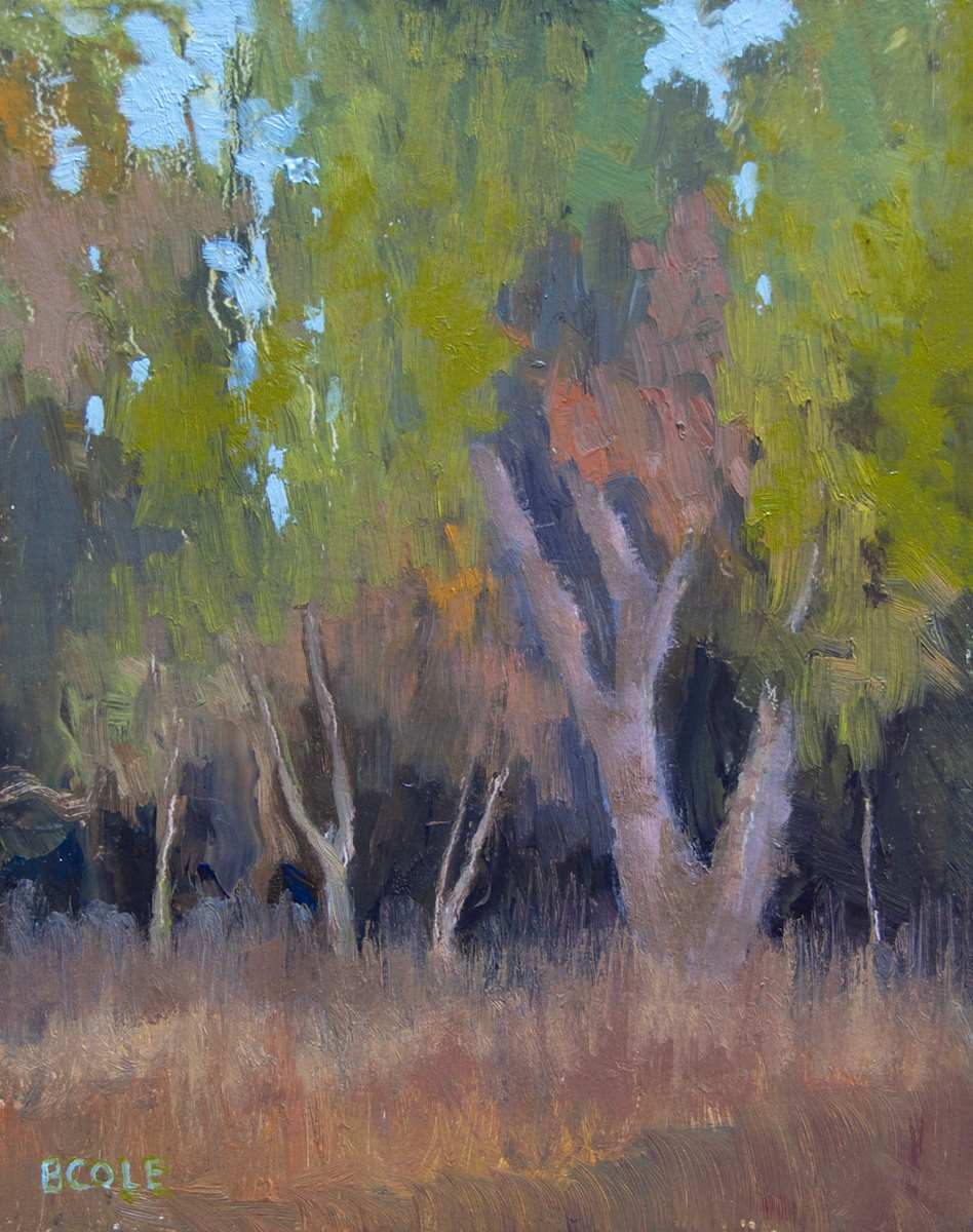 Singin' The Blues by Beth Cole 