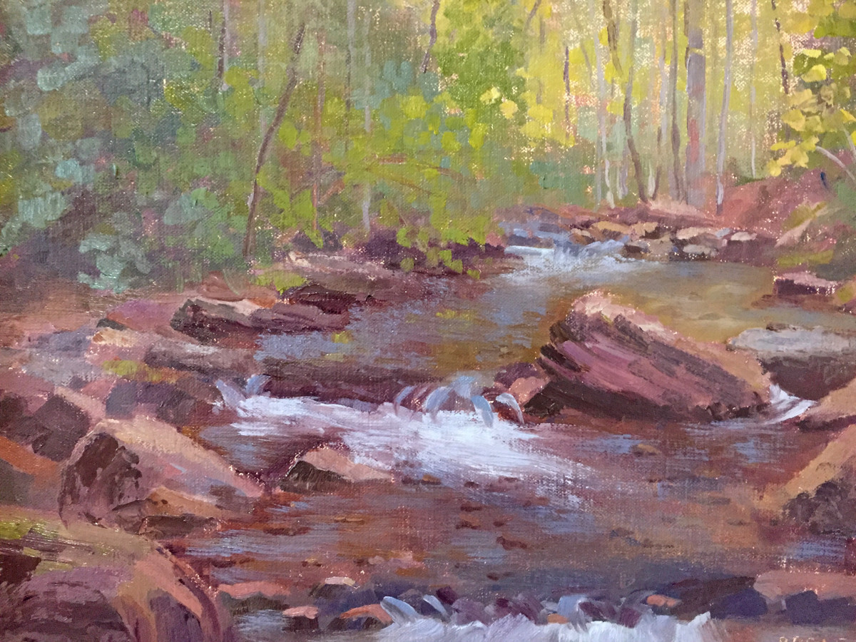 Smokey Mountain Stream by Beth Cole 