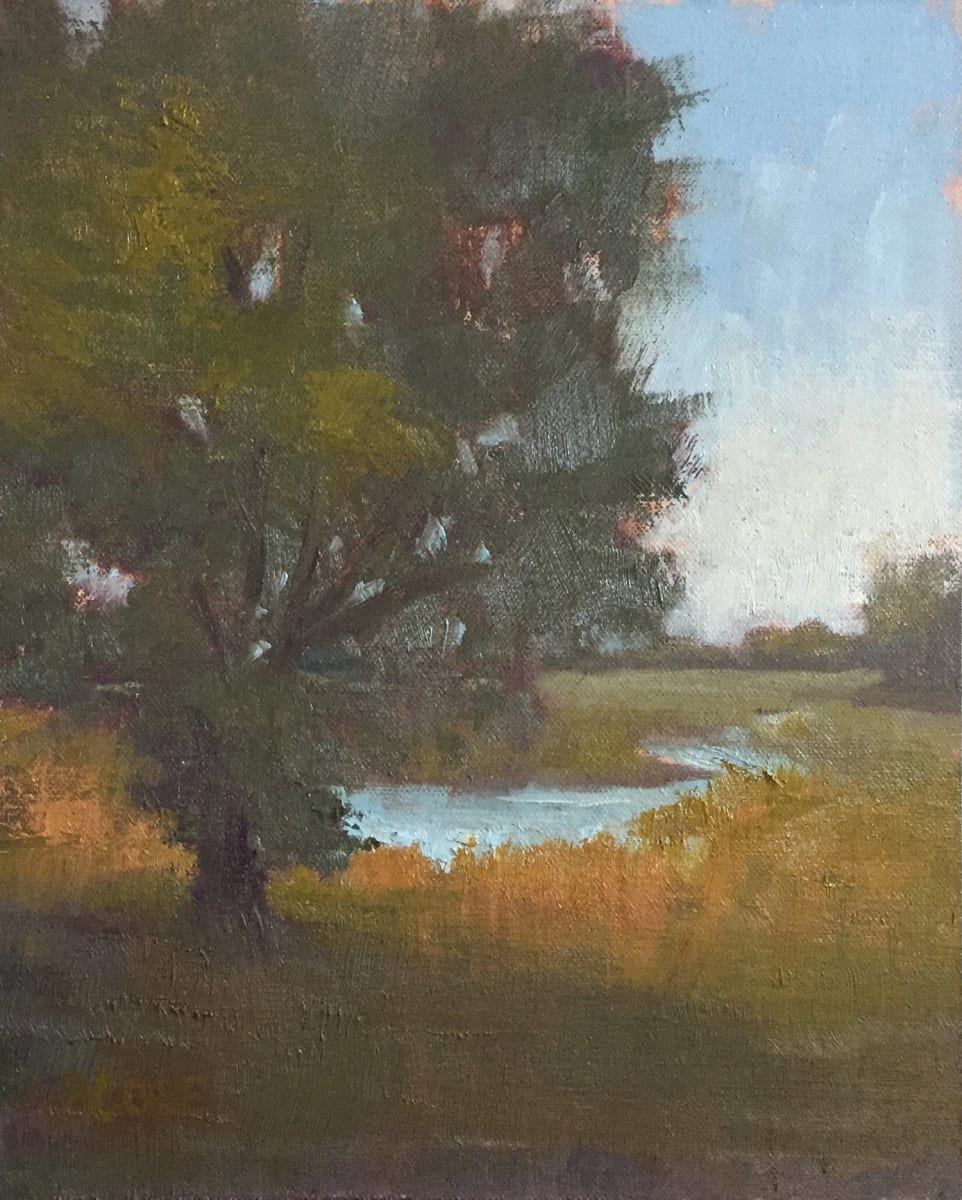 Soft Light by Beth Cole, Image 1.
