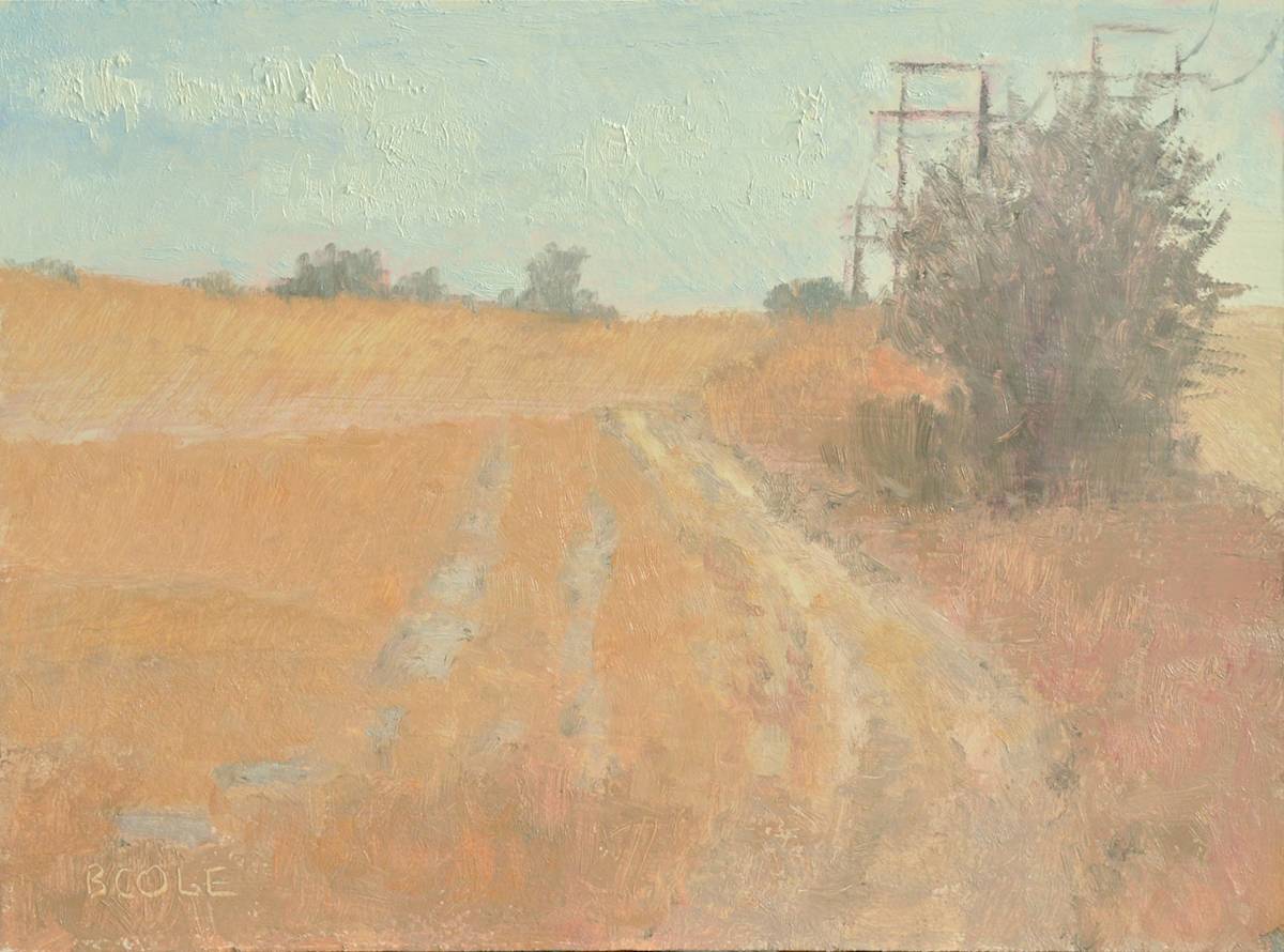 Tracks by Beth Cole, Image 1.