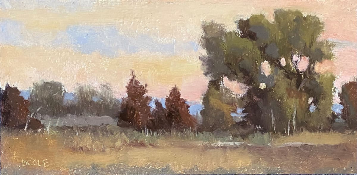 Waking Up by Beth Cole 