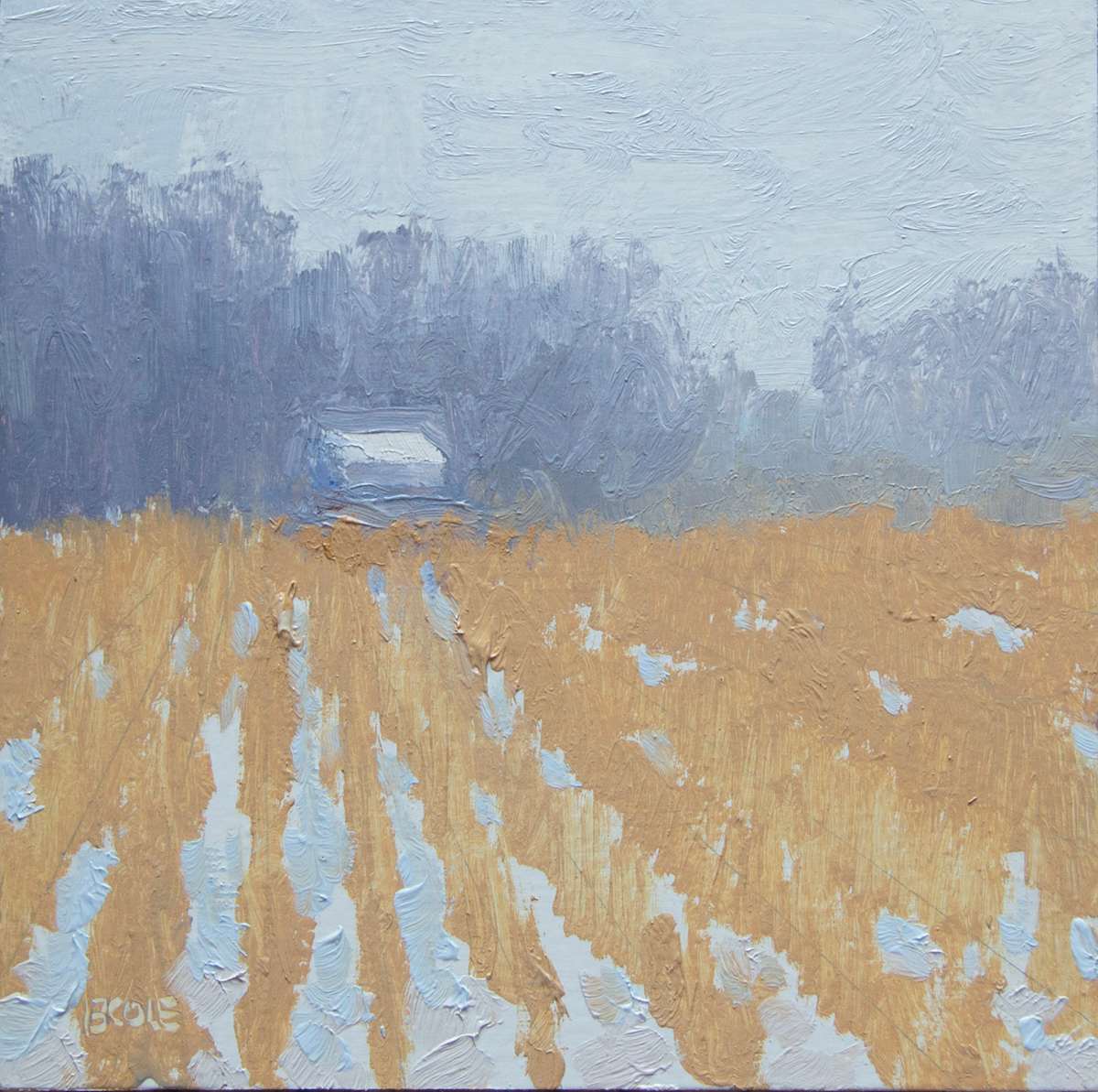 Winter Field by Beth Cole 