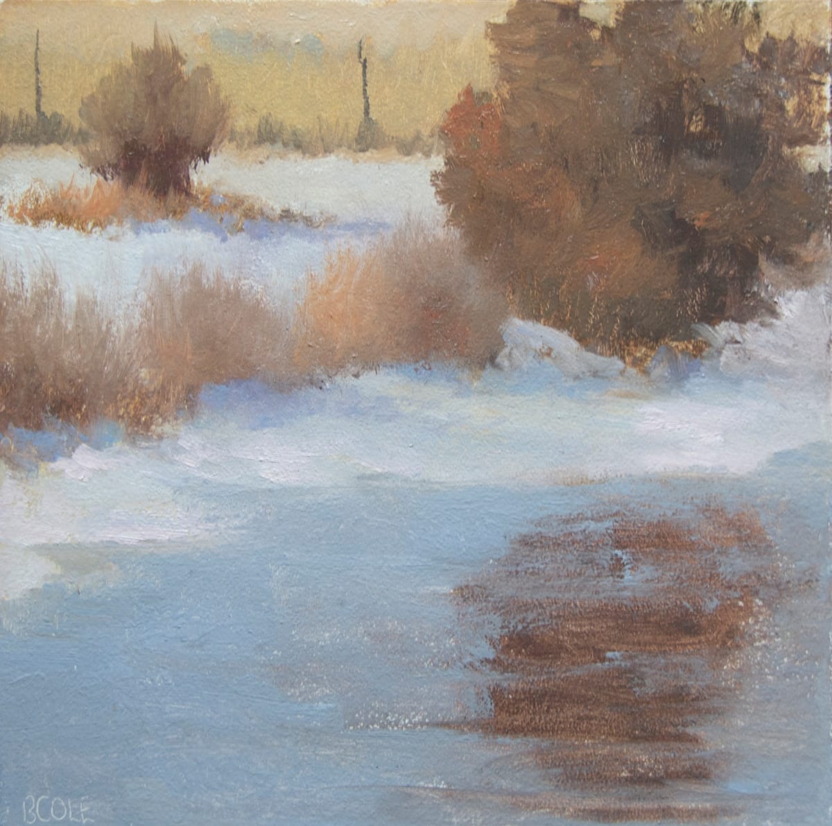 Spring Thaw by Beth Cole 