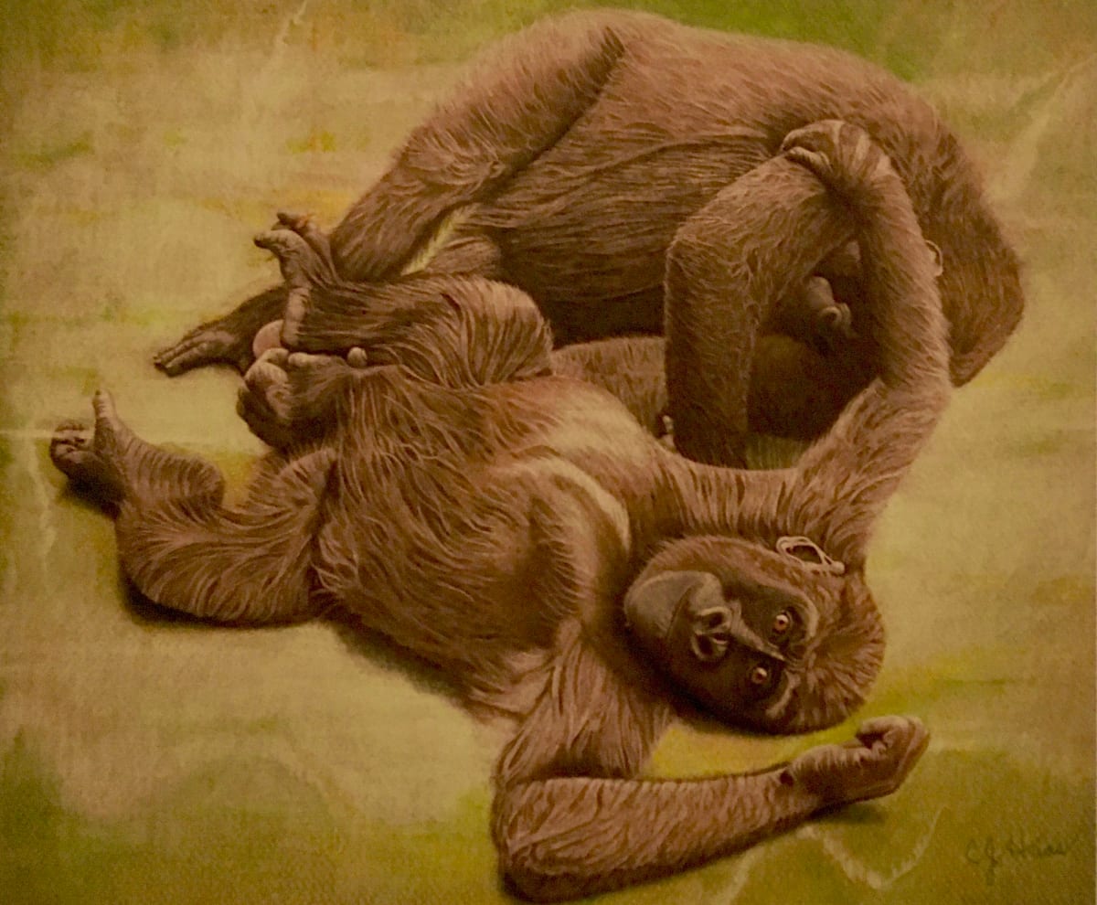 Gorilla Play by Carolyn J. Haas 