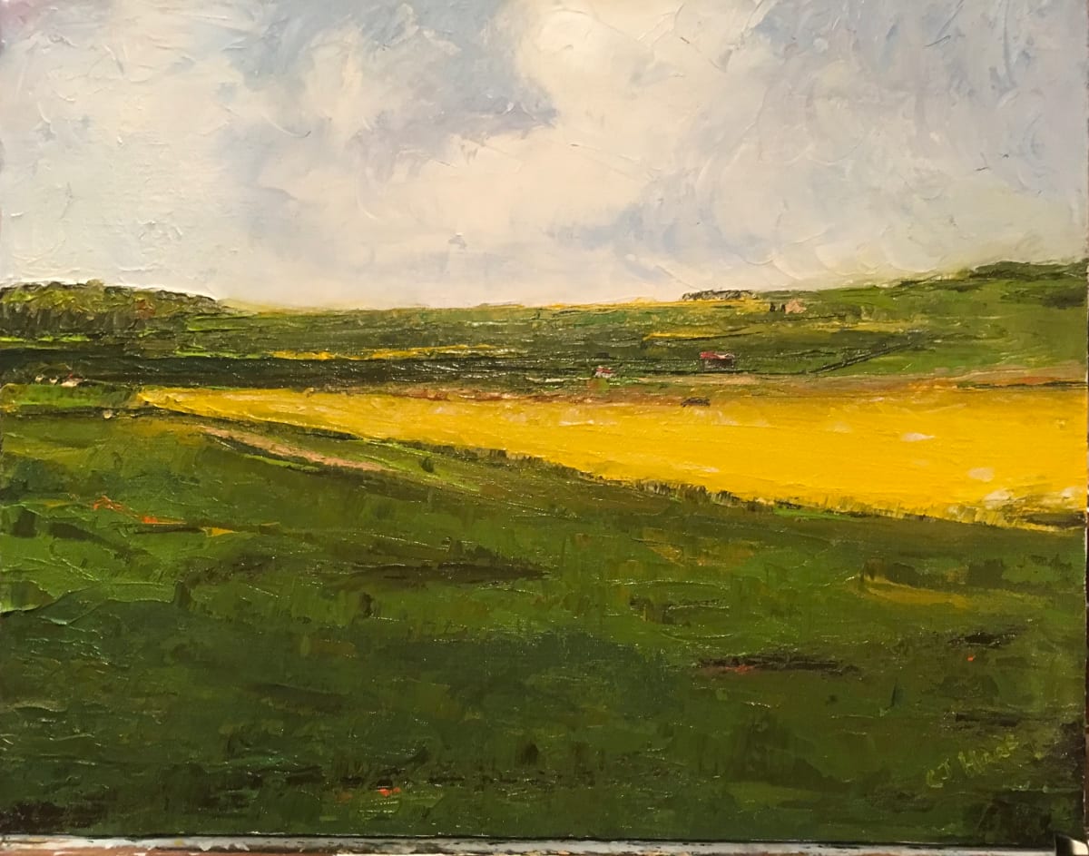 A Field in France by Carolyn J. Haas 