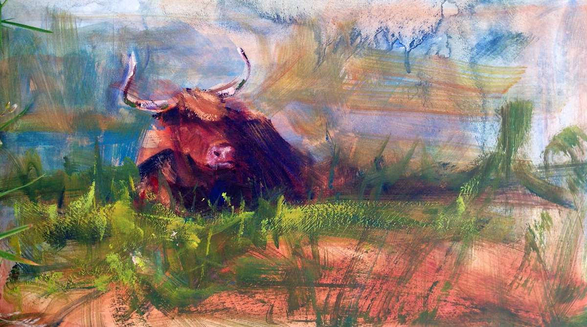 Scottish Highlander 