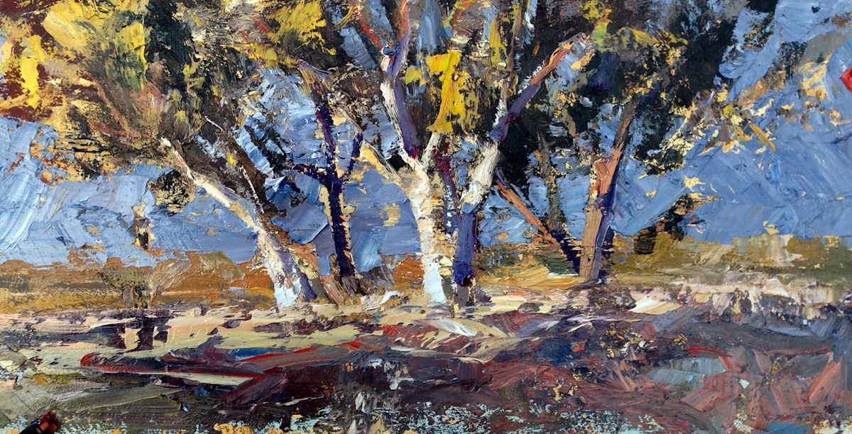 Gumtree Study 2 Exmouth 