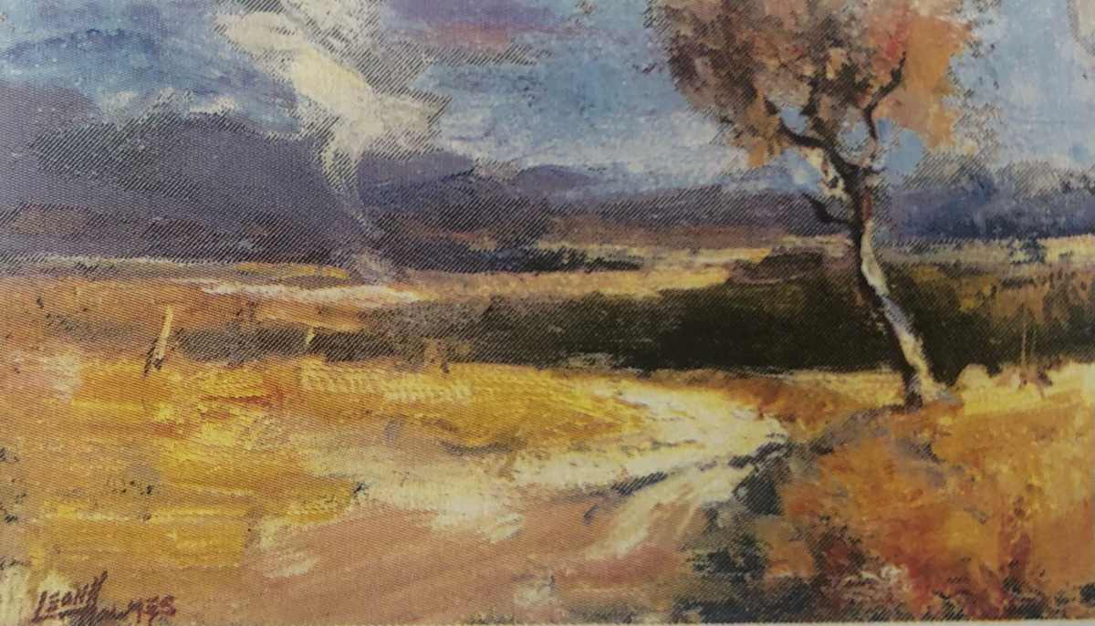 Summer Effects 