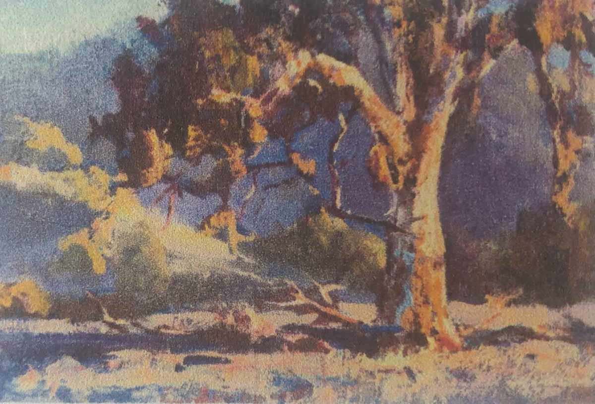 Little Gum Scene 