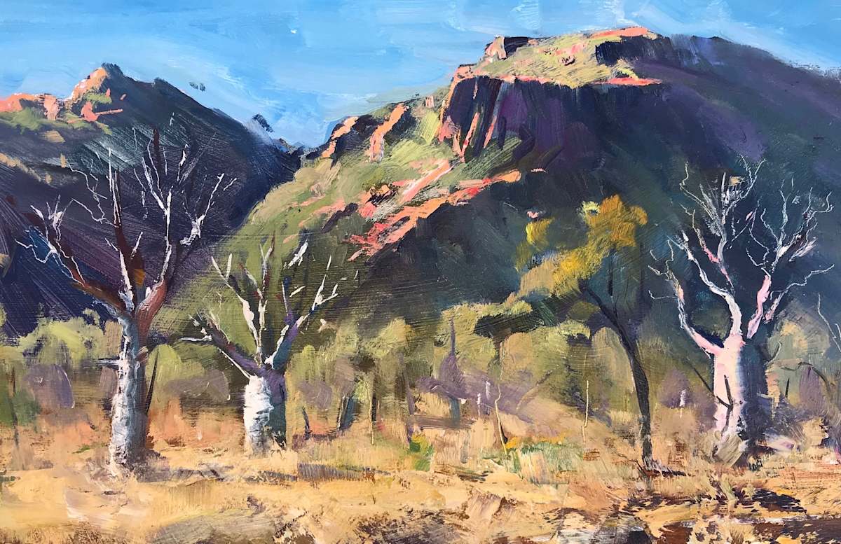 Kimberley Dry Season by Leon Holmes 