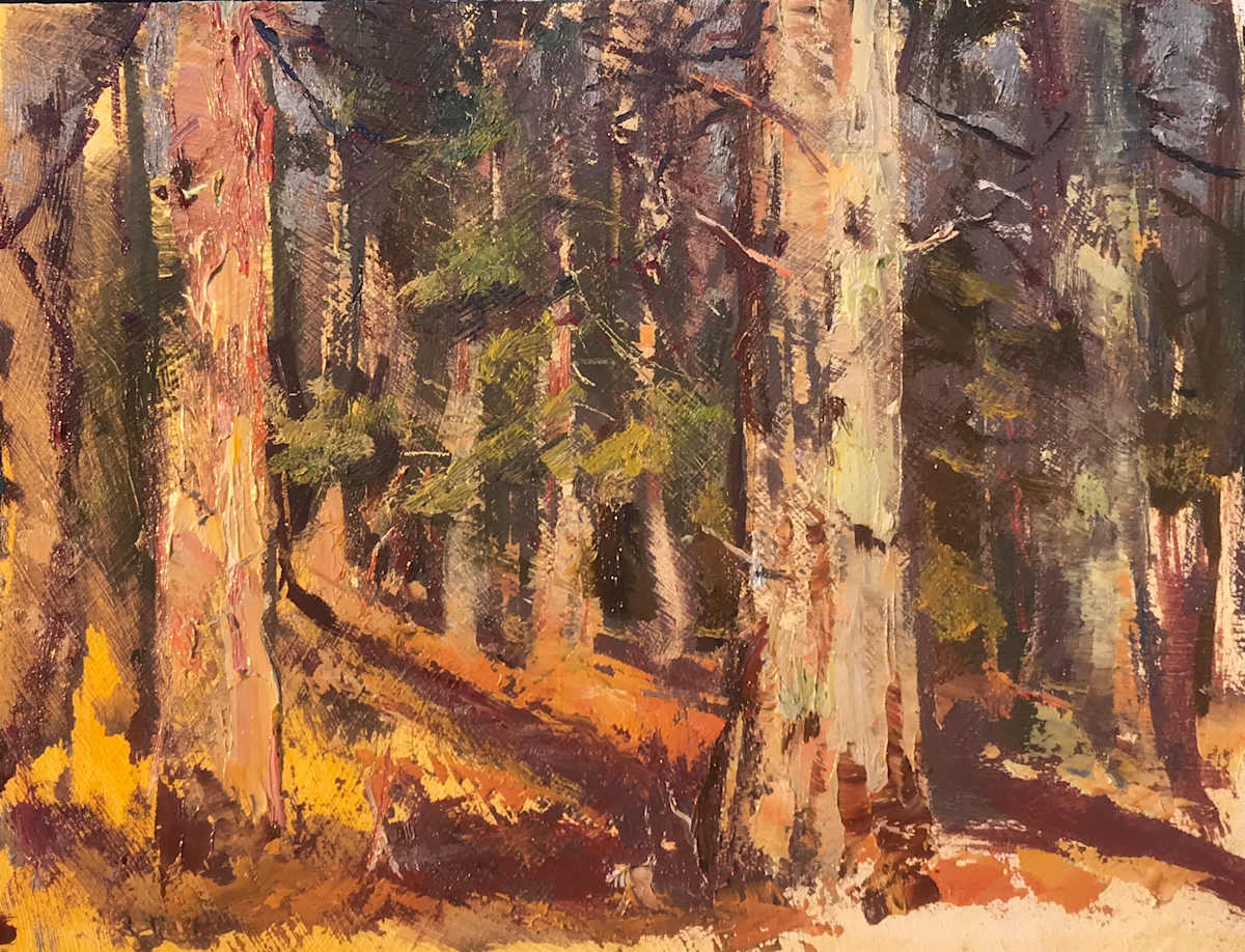 Pine Study, Image 1.
