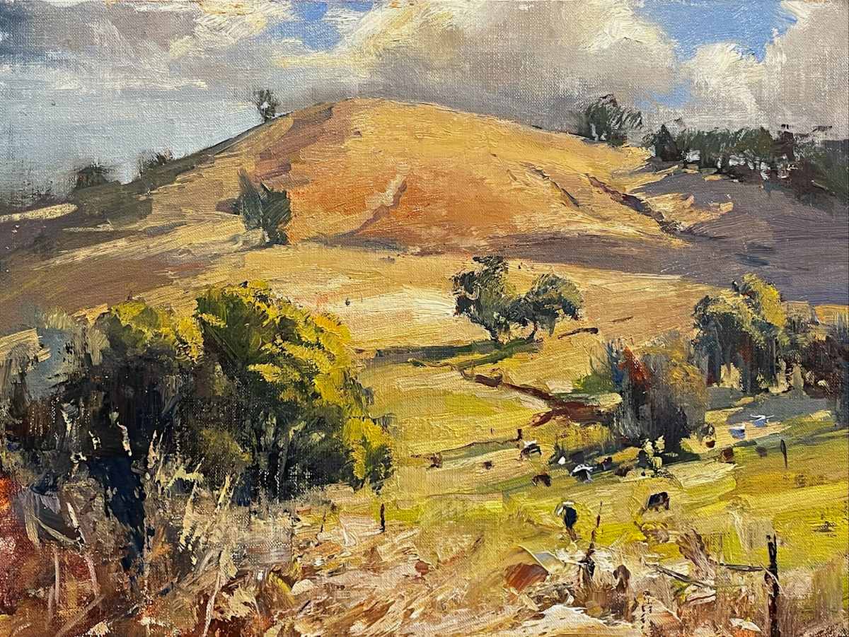 Hillside Paddock by Leon Holmes 