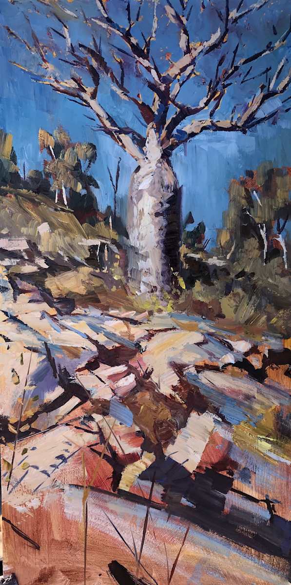 Boab Above Bell Gorge 
