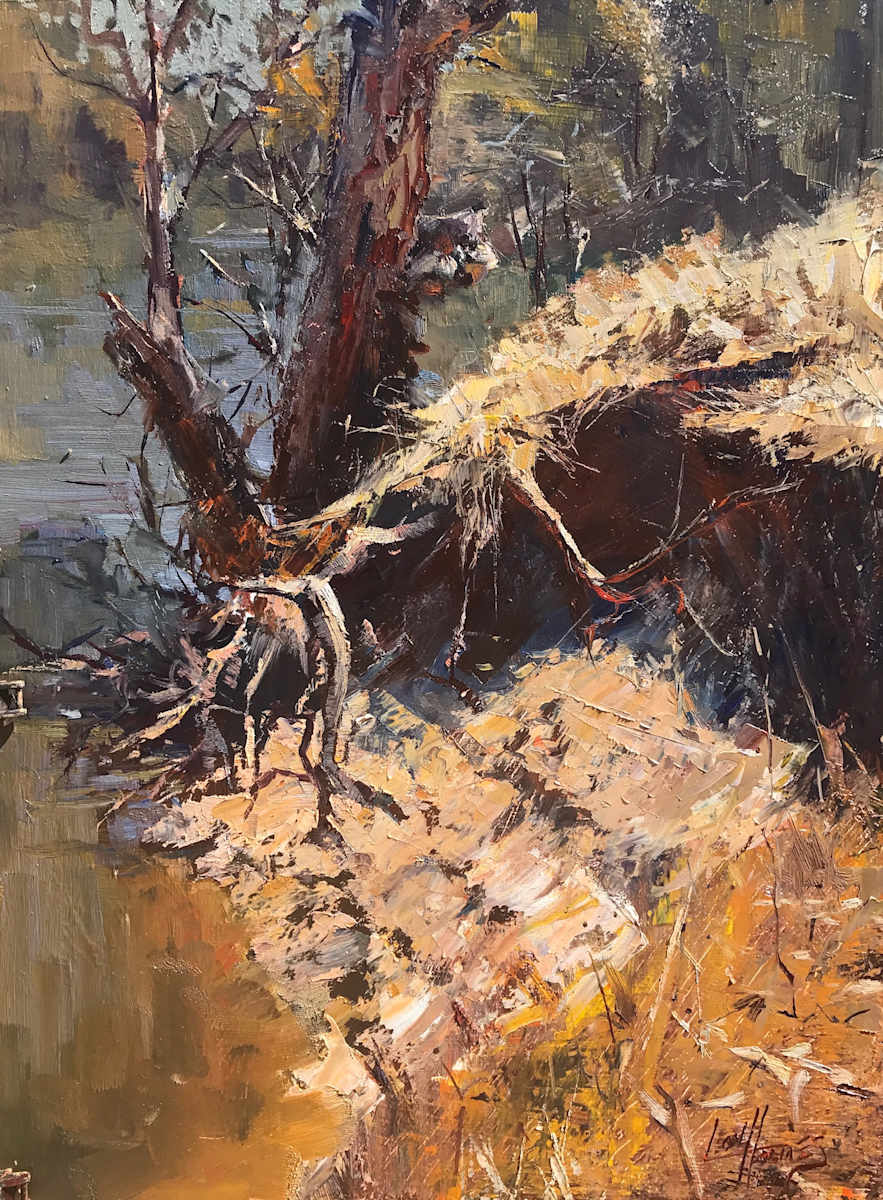 Flood Lines by Leon Holmes 