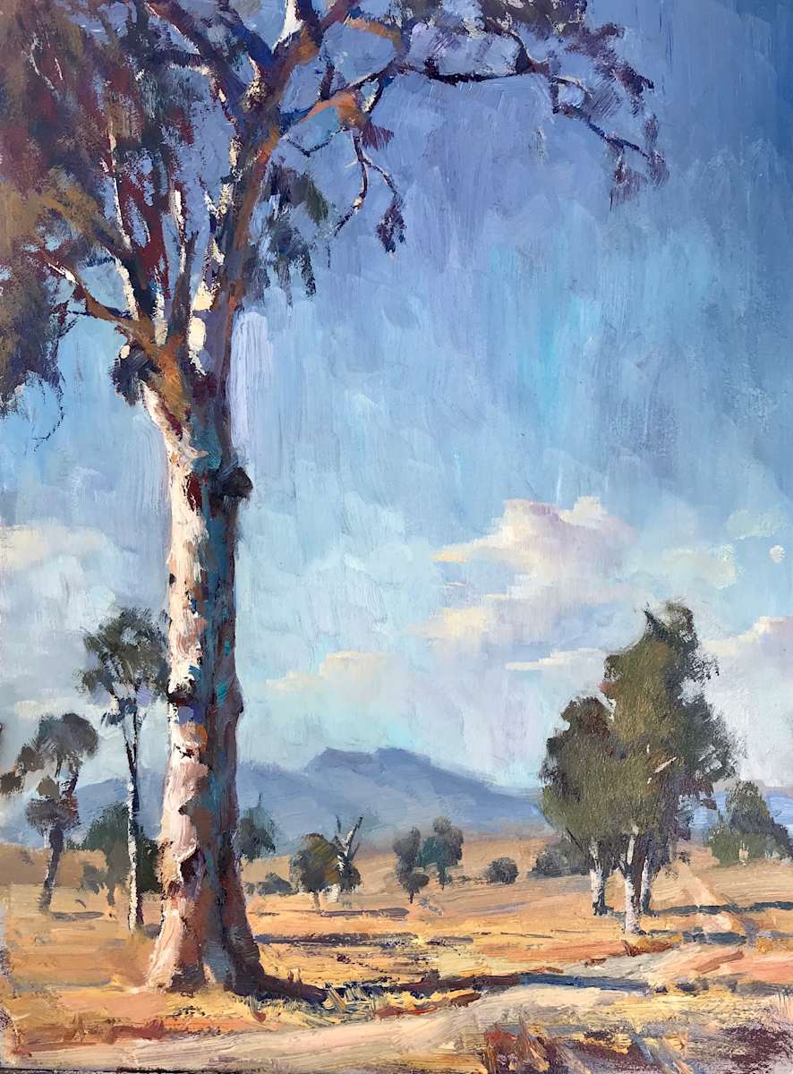 On The Road To Beaudesert 