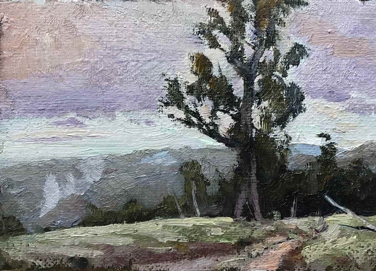 Burnoff Dwellingup 