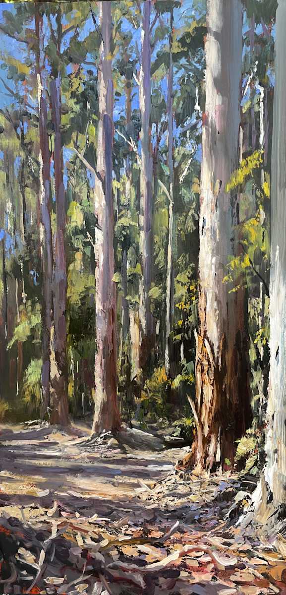 Pemberton Karri by Leon Holmes 