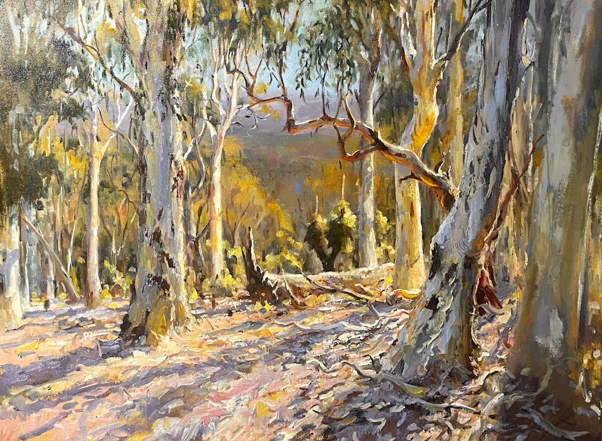 Through The Wandoo by Leon Holmes 