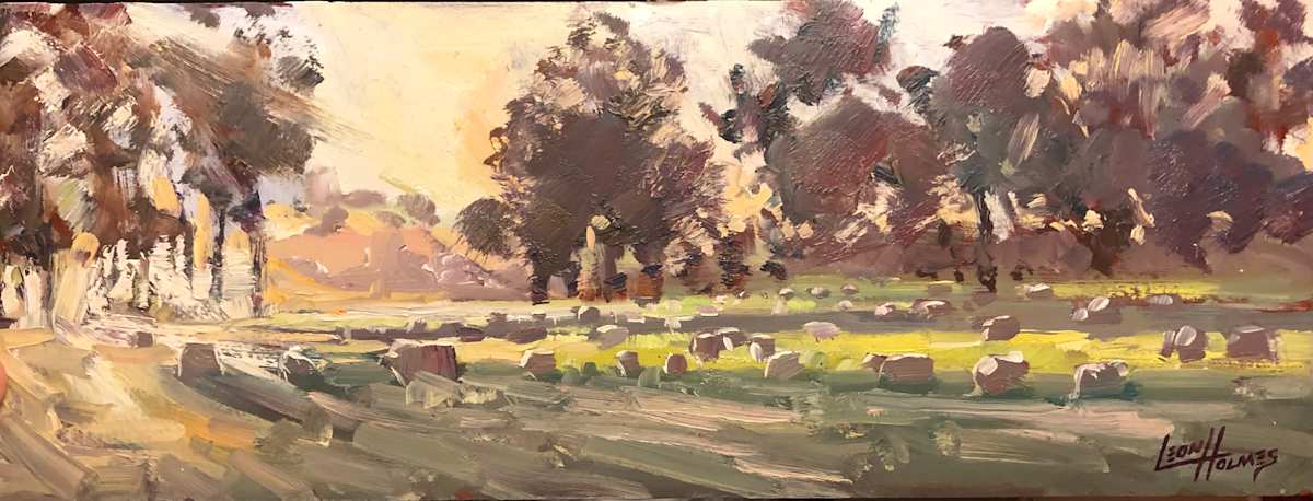 Sunset On The Southern Farm 