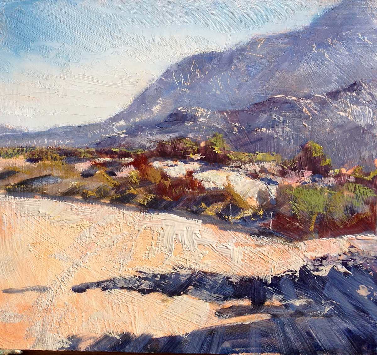 Desert Landscape Tuscon by Leon Holmes 