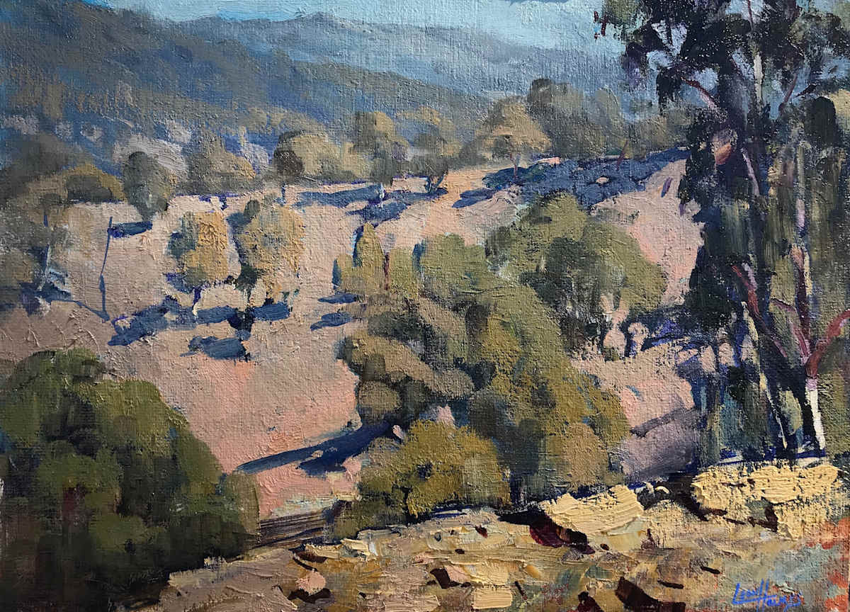 Midday In The Valley 