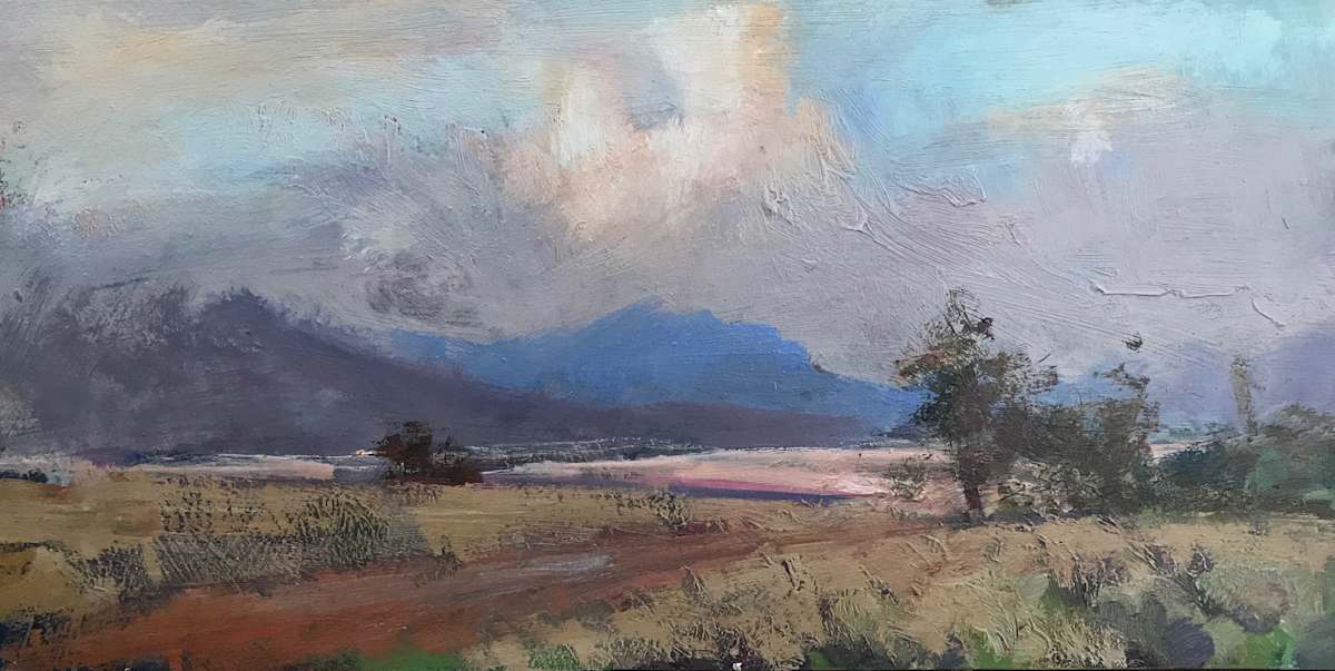 Evening Atmosphere 