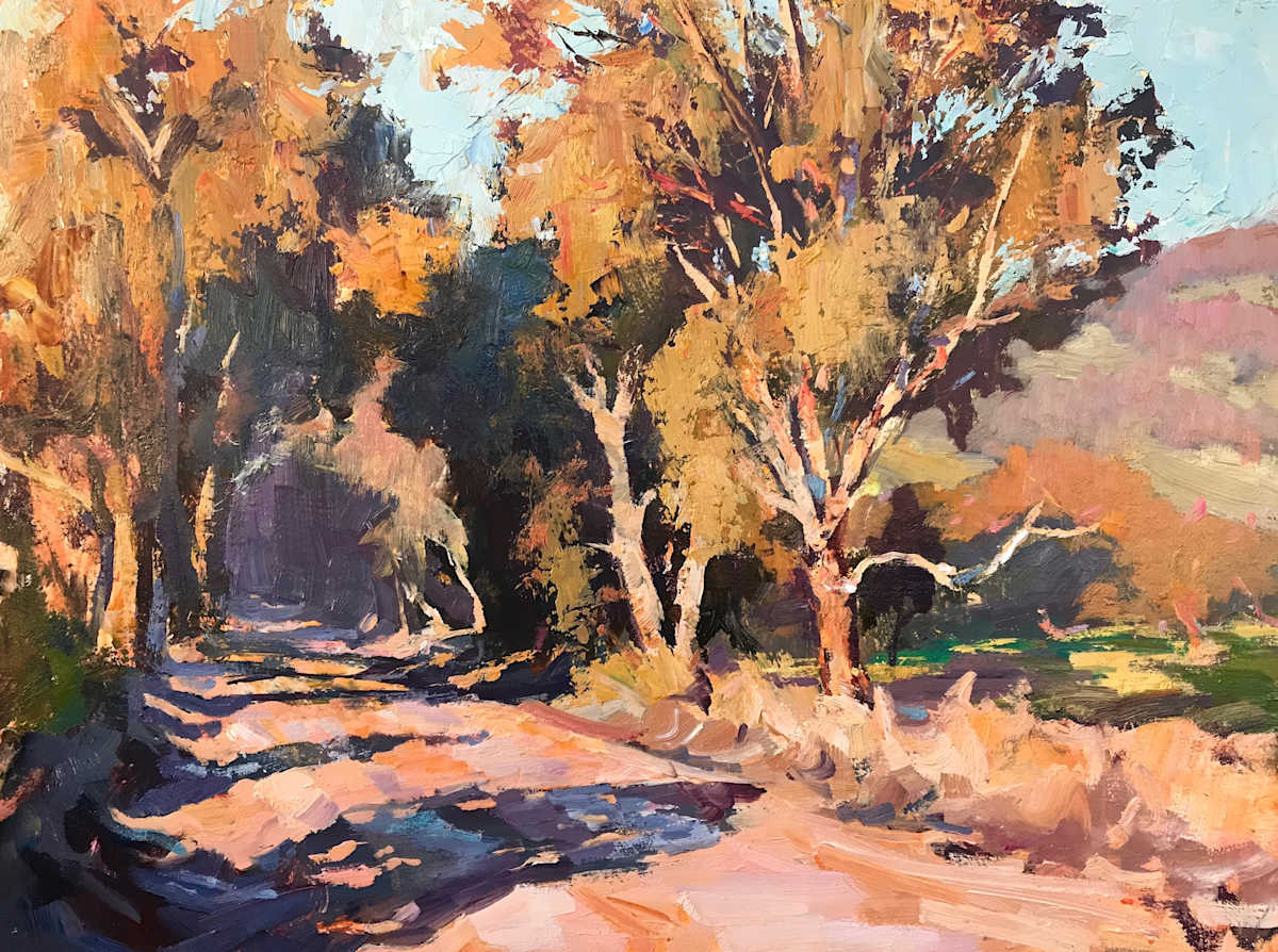 Sunset On Wades Road 