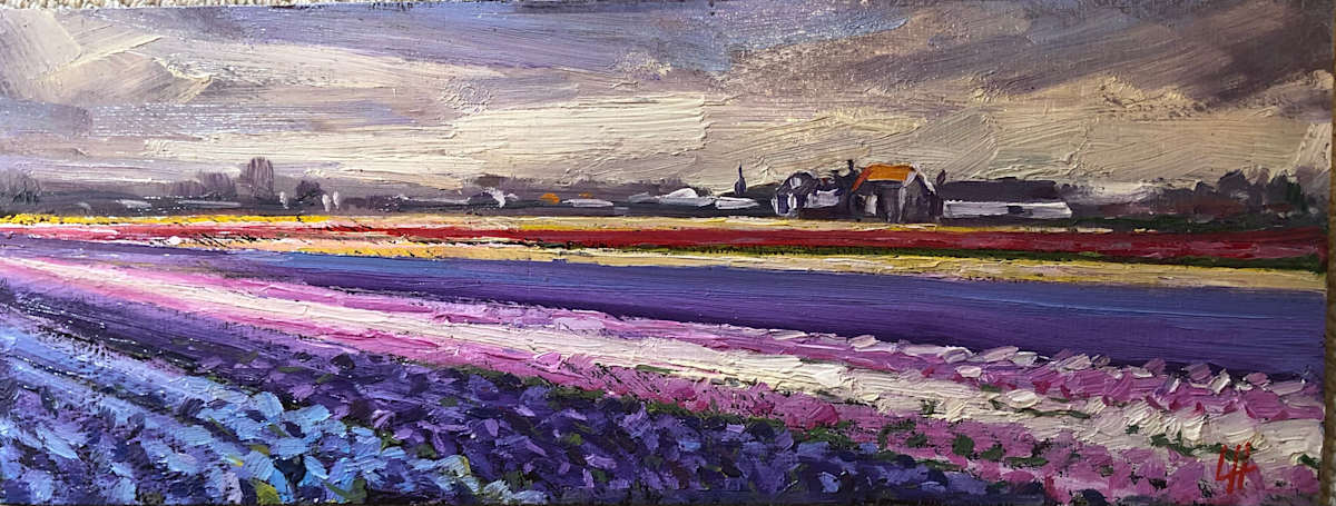 Rainbow Field-Netherlands 