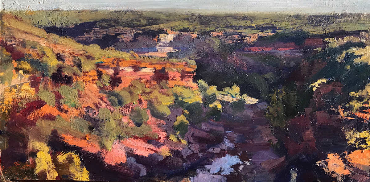 Murchison Gorge Study 