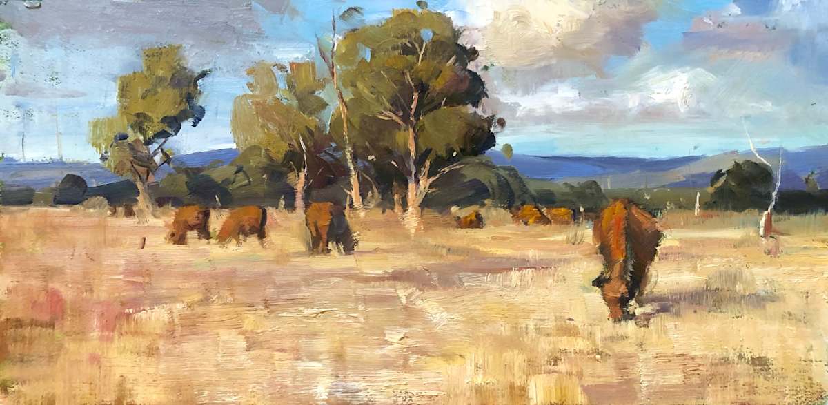 Summer Grazers 