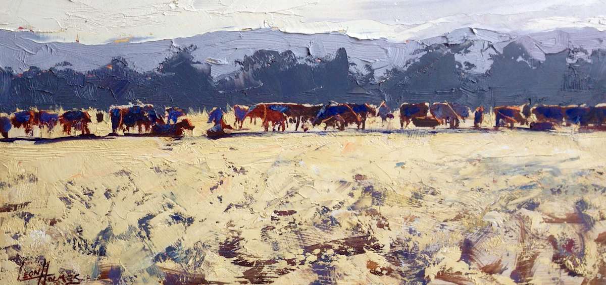 Cattle Study 
