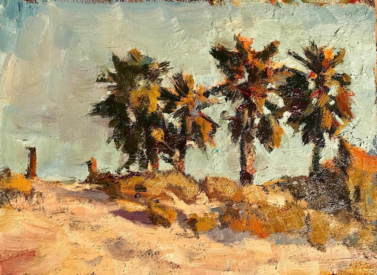 Palms In The Dune 
