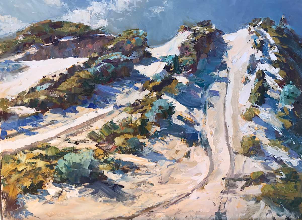 The Old Coastal Drive by Leon Holmes 