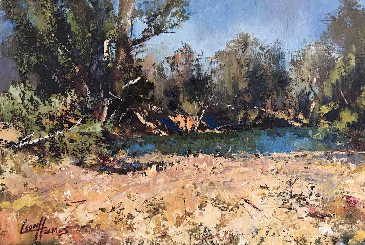 Waterhole Murray River 