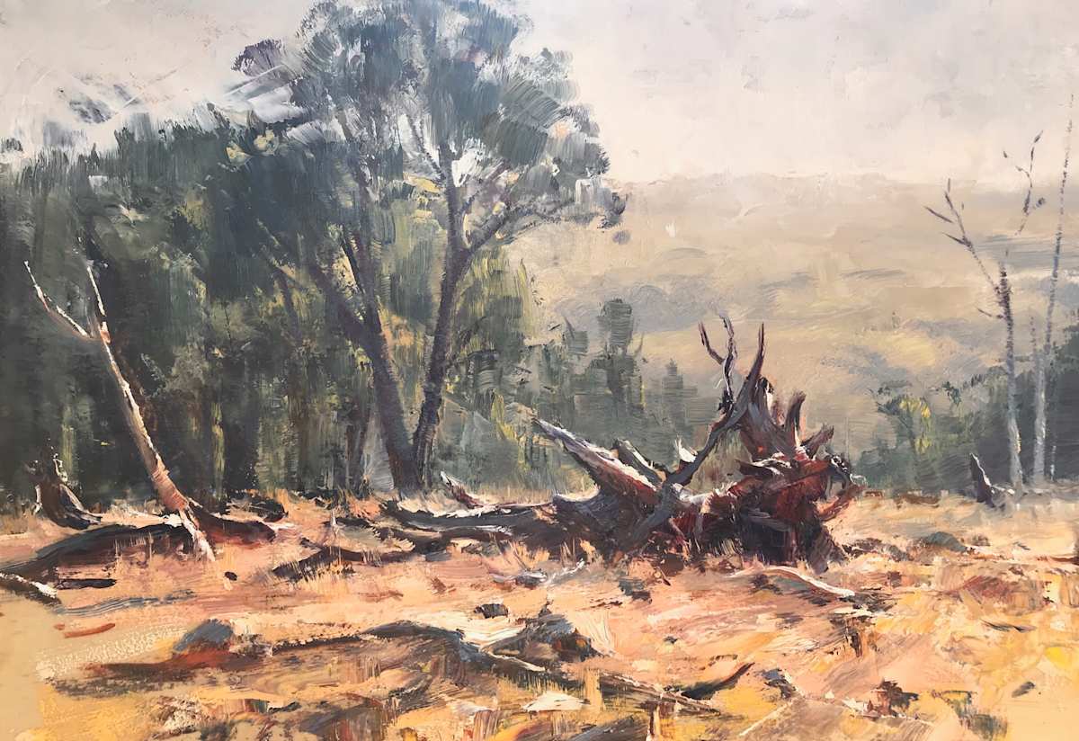 The Top Paddock by Leon Holmes 