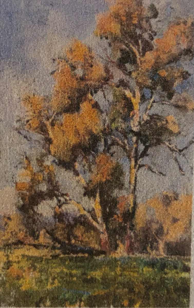 Tree Cluster Study 