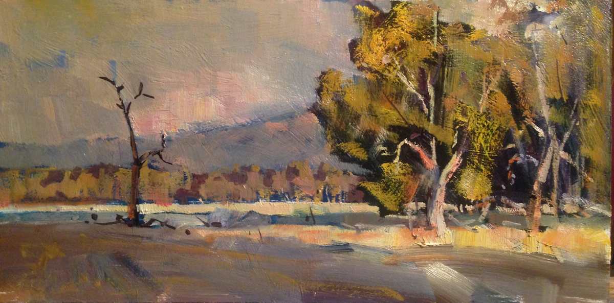 Where Is Skippy by Leon Holmes 