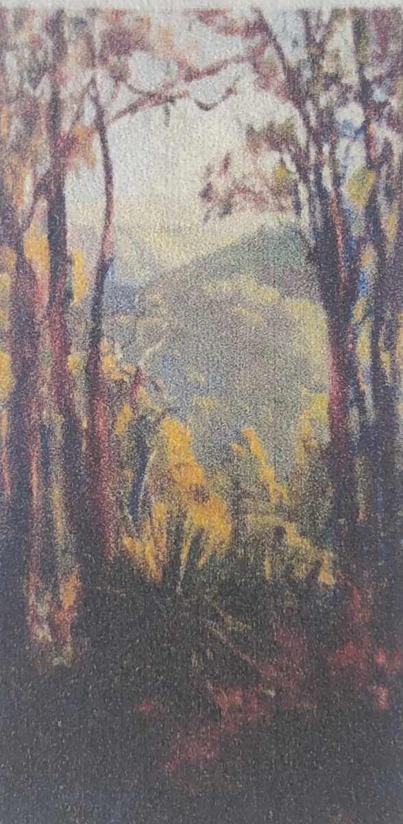 Hazy View 