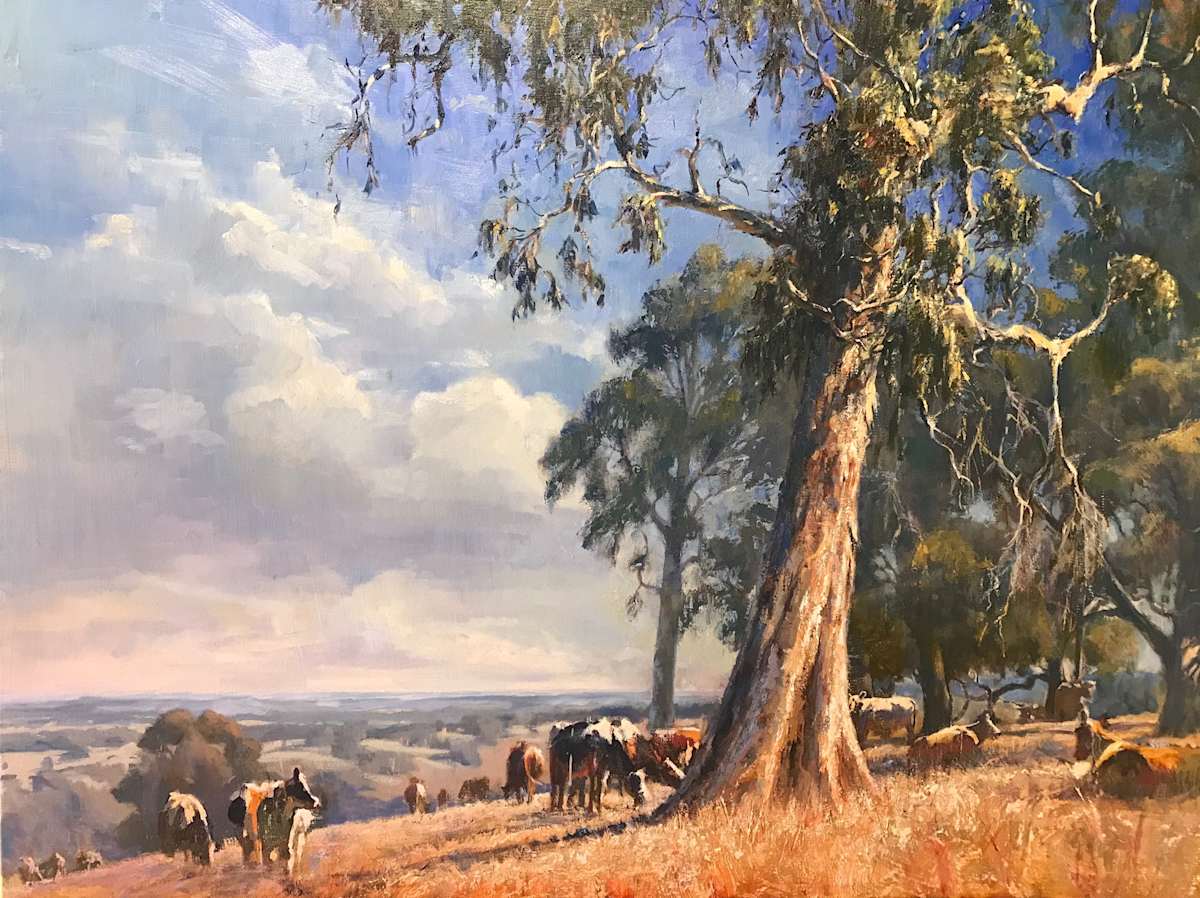 Moo With A View 