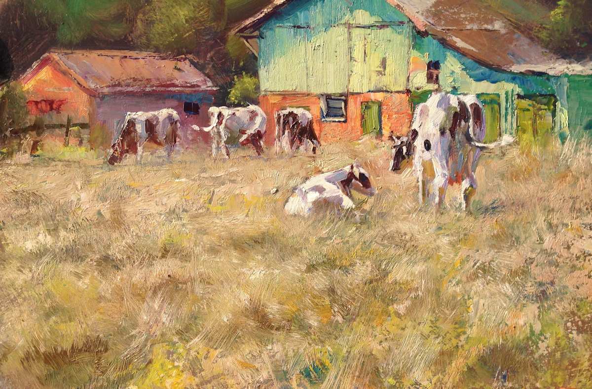 Lamstedter Cows 