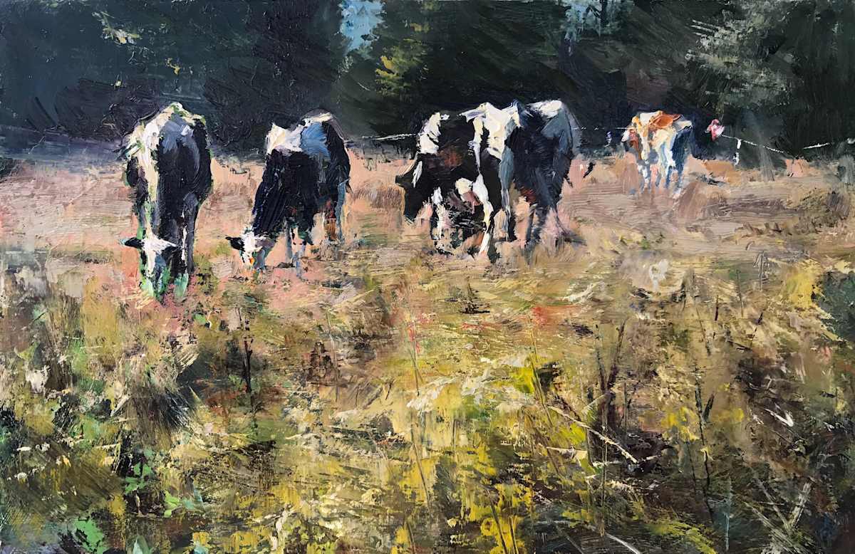 Holsteiner Cows 
