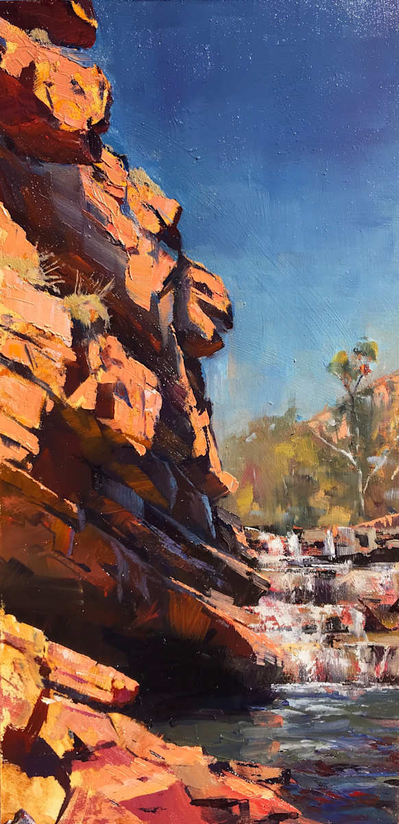 Bell Gorge Falls by Leon Holmes 