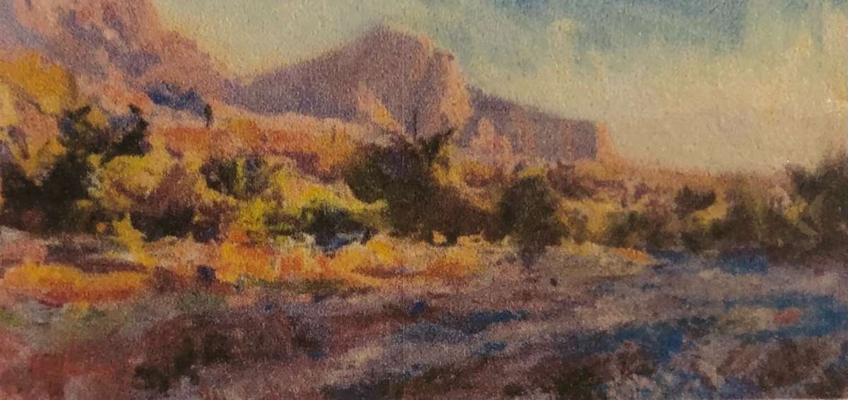 Tuscon Landscape 