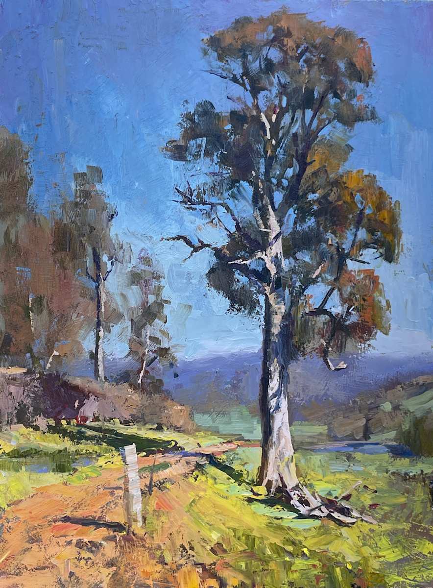 Caraholly Views by Leon Holmes 