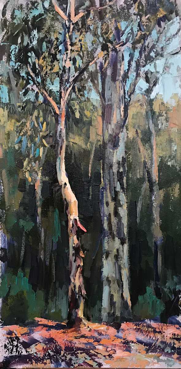 Little Eucalyptus 