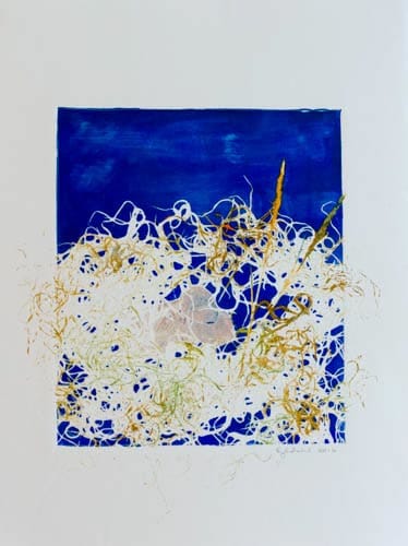 Shore Nest, Image 5.
