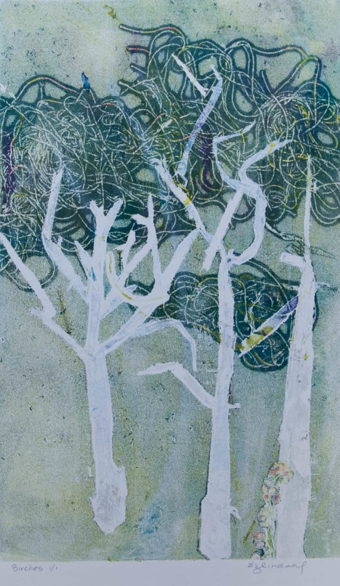 Ghost Birch Trees, Image 10.
