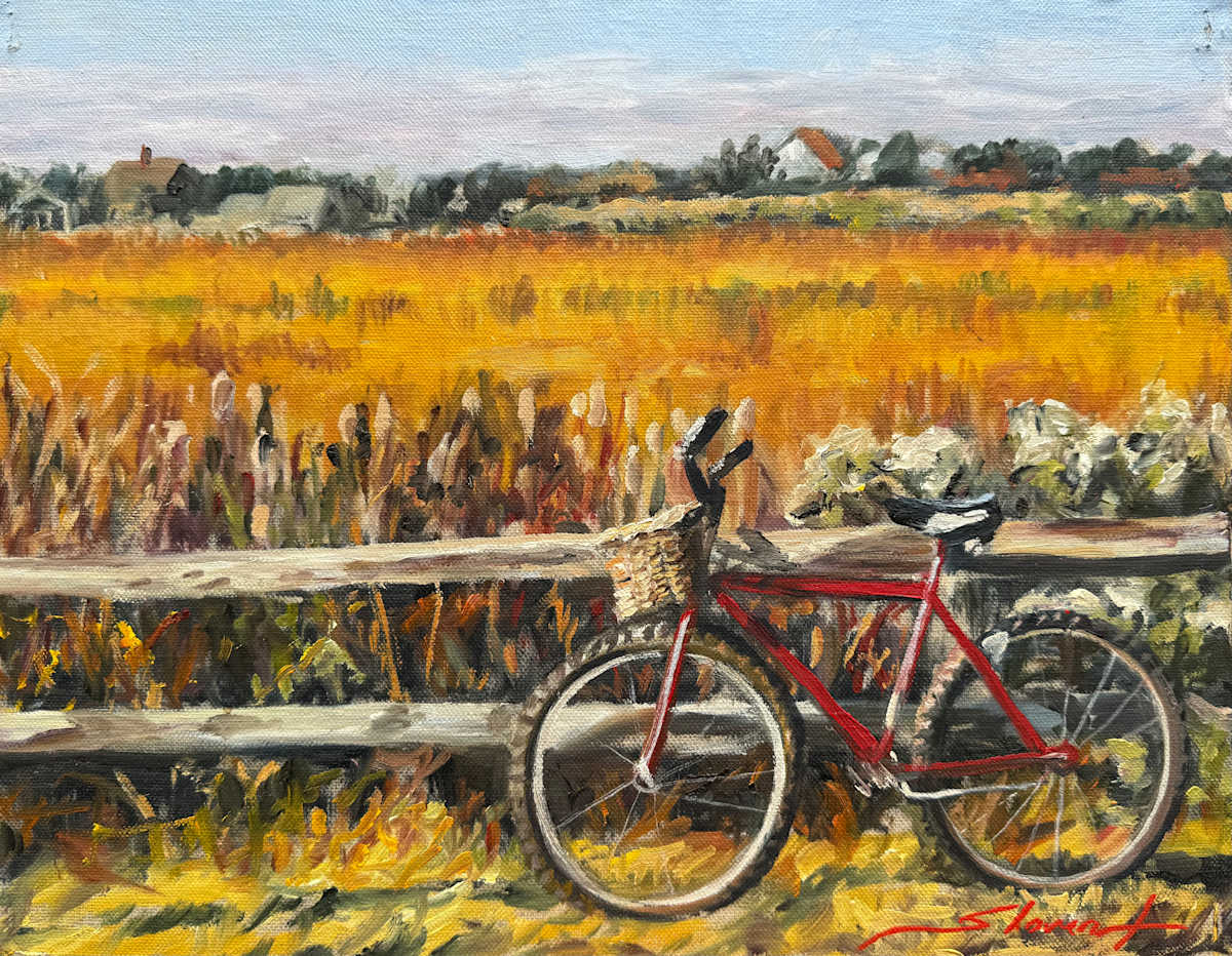 Cape Bicycle Sketch by Sharon Rusch Shaver 