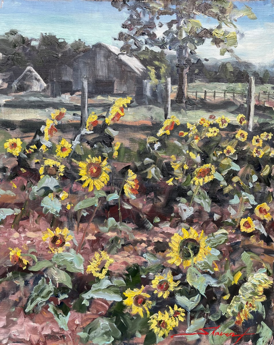 Plein Sunflower Farm by Sharon Rusch Shaver 